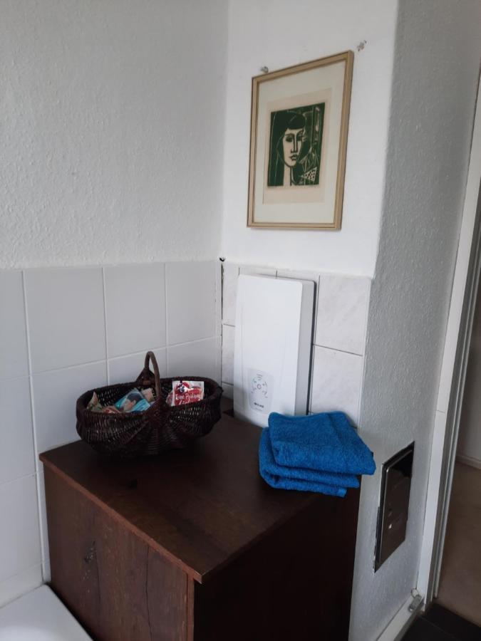 Apartamento Kunstoase Am Blauen Haus Dresde Exterior foto